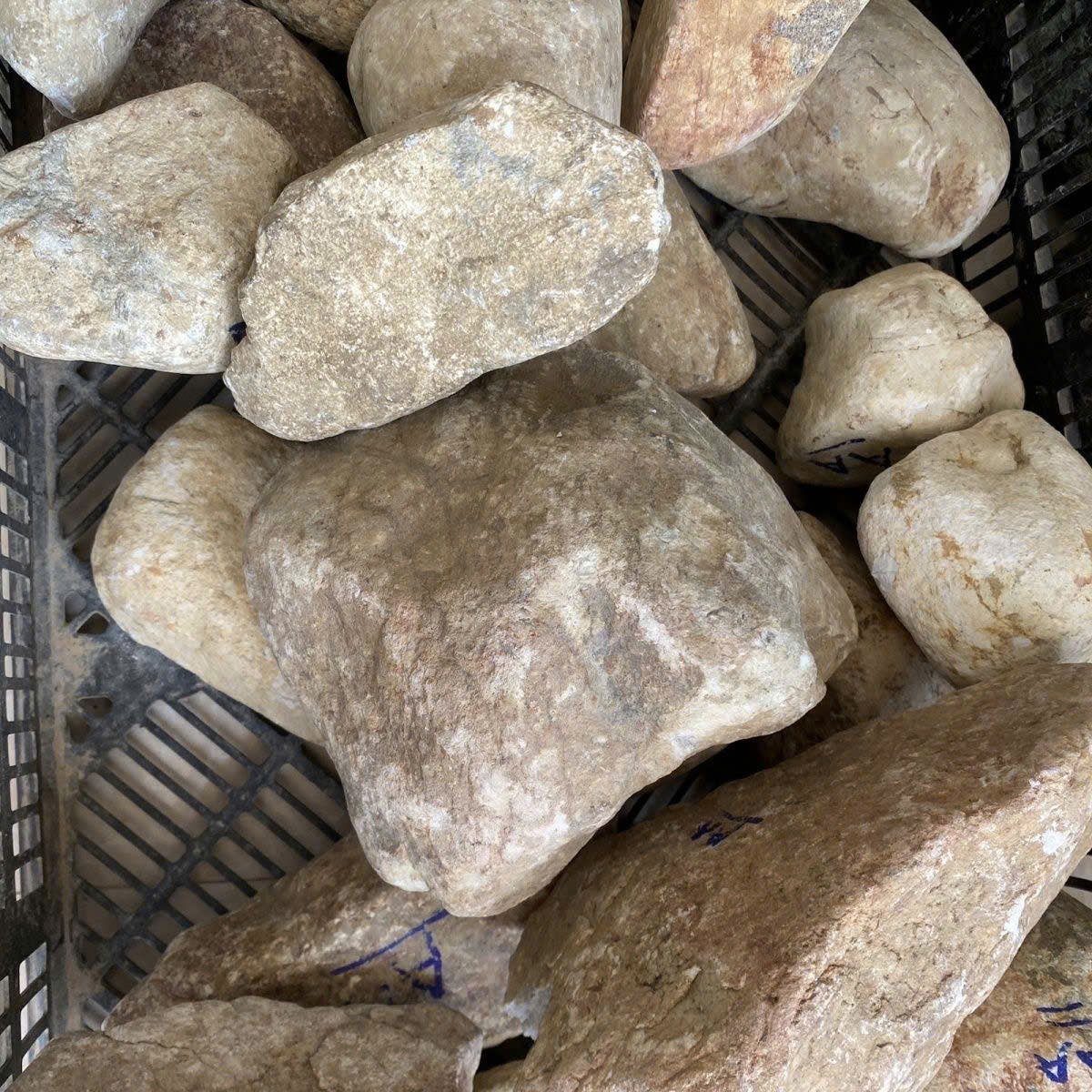 玉石原矿 Quặng ngọc bích Myanmar